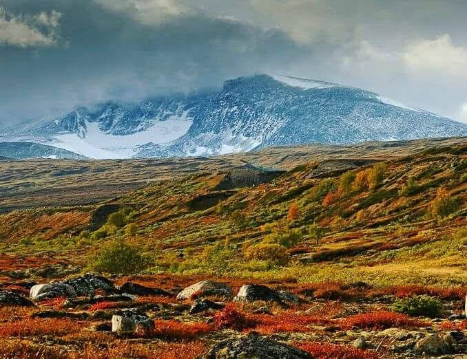 Dovrefjell–Sunndalsfjella National Park